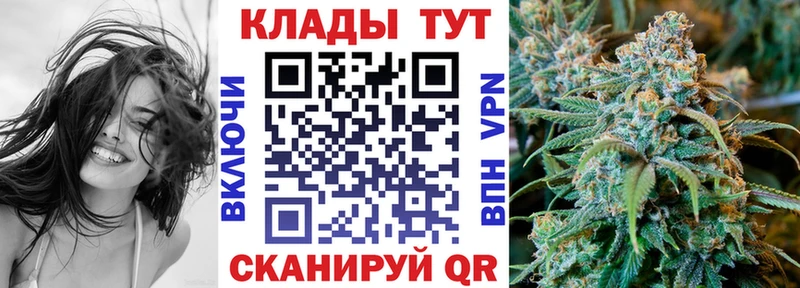 МЕФ Новоузенск