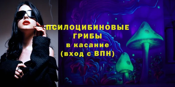 твердый Абаза