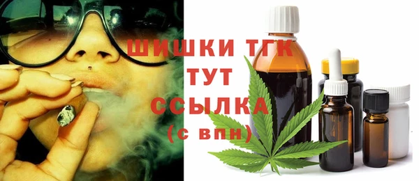 твердый Абаза