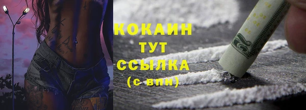 твердый Абаза