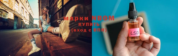 твердый Абаза