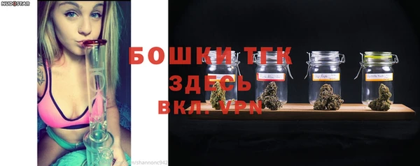 твердый Абаза