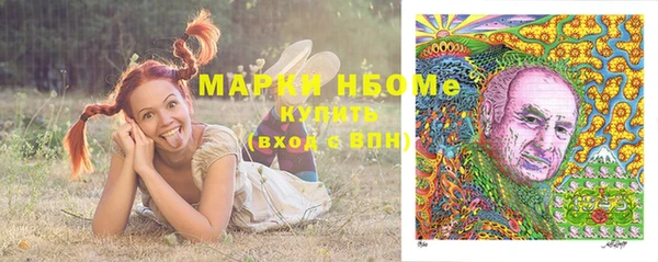 дурь Сатка