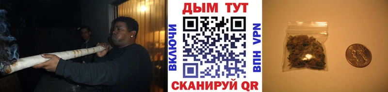 Шишки марихуана конопля  наркота  Новоузенск 